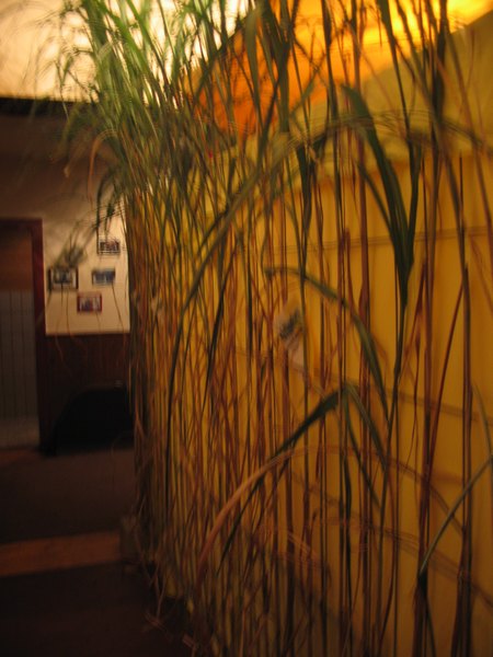 2007-10-06_005.jpg